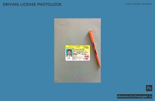 Beispielvorschau für das Foto des laotischen Führerscheins